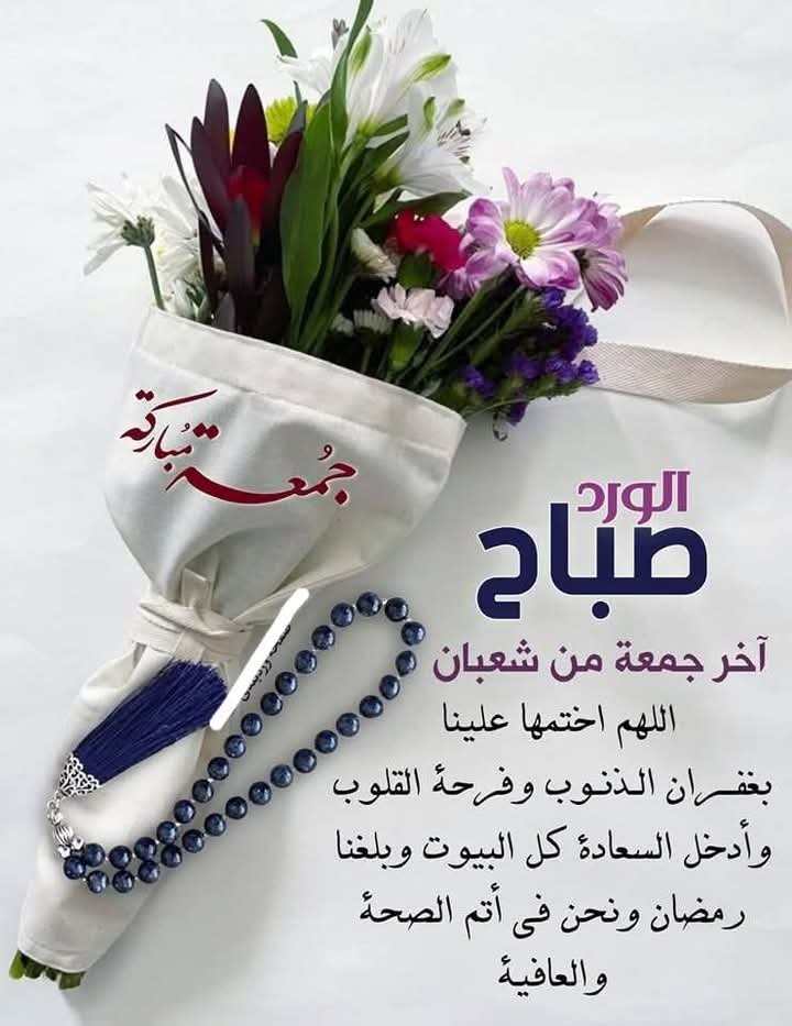 القاضي (@farsabdu37719) on Twitter photo 