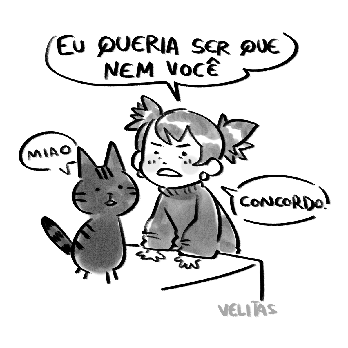 sou_velitas's tweet image. gatos