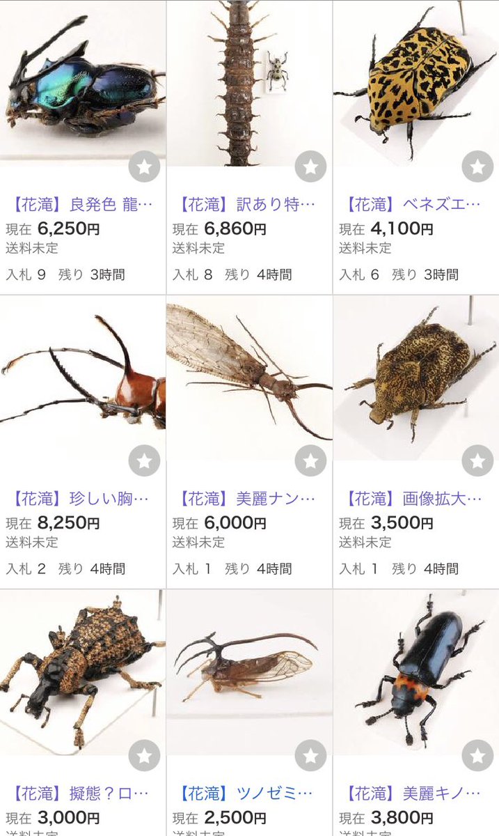 滝本出品 本日終了】 現在ヤフオク！で開催中のオークションは22時前後に終了