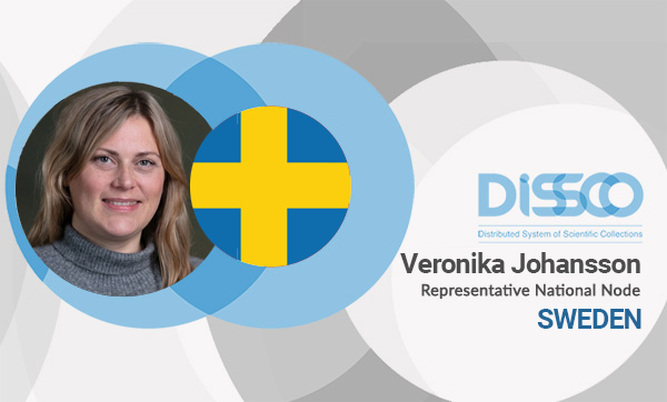 DiSSCo (@disscoeu) on Twitter photo Welcome Veronika Johansson, new node manager of <a href="/DiSSCoEU/">DiSSCo</a> #Sweden! Veronika leads strategic initiatives in #biodiversity #informaticss and is also node manager of #GBIF SE. She focuses on mobilization, standards and access to biodiversity data for research & policy <a href="/REA_research/">European Research Executive Agency</a> Welcome Veronika Johansson, new node manager of <a href="/DiSSCoEU/">DiSSCo</a> #Sweden! Veronika leads strategic initiatives in #biodiversity #informaticss and is also node manager of #GBIF SE. She focuses on mobilization, standards and access to biodiversity data for research & policy <a href="/REA_research/">European Research Executive Agency</a>