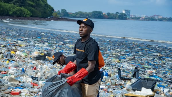 orangeguinee_gn's tweet photo. En juin 2024, à l'occasion de la journée mondiale de l'environnement et du lancement du programme #OrangeEngageforChange, 150 salariés ont participé à l’assainissement de la plage de la Minière 💪.
Une belle action qui a eu un impact concret, durable et local. https://t.co/qxuRth0gU6