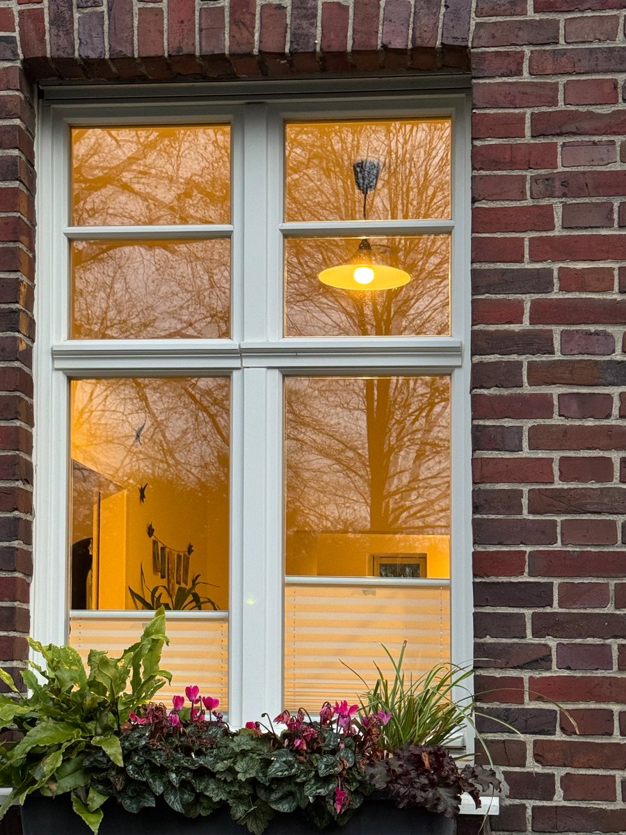 #Fenstersprossen: Sie verleihen jedem Zuhause einen Hauch von Charme und Gemütlichkeit.

Bei den deutschen Fenstern von #frovin sind Sprossen ab 25 mm möglich, bei den dänischen bereits ab 20 mm.

Mehr Inspiration im Lookbook: frovin.de/lookbook/