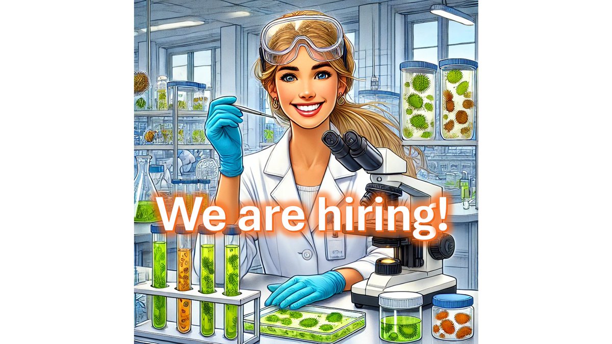 BCCM Collections (@bccmcollections) on Twitter photo 🚨 We Are Hiring! 🚨
Are you passionate about microbiology and excited to work with #microalgae and #diatoms? 🌱🔬 
BCCM/DCG is looking for a motivated lab technician to join its team!
jobs.ugent.be/job/Gent-Labor…
#jobopportunities #microbiology
<a href="/ResearchUGent/">Ghent University Research</a> <a href="/belspo/">Belspo</a> 🚨 We Are Hiring! 🚨
Are you passionate about microbiology and excited to work with #microalgae and #diatoms? 🌱🔬 
BCCM/DCG is looking for a motivated lab technician to join its team!
jobs.ugent.be/job/Gent-Labor…
#jobopportunities #microbiology
<a href="/ResearchUGent/">Ghent University Research</a> <a href="/belspo/">Belspo</a>