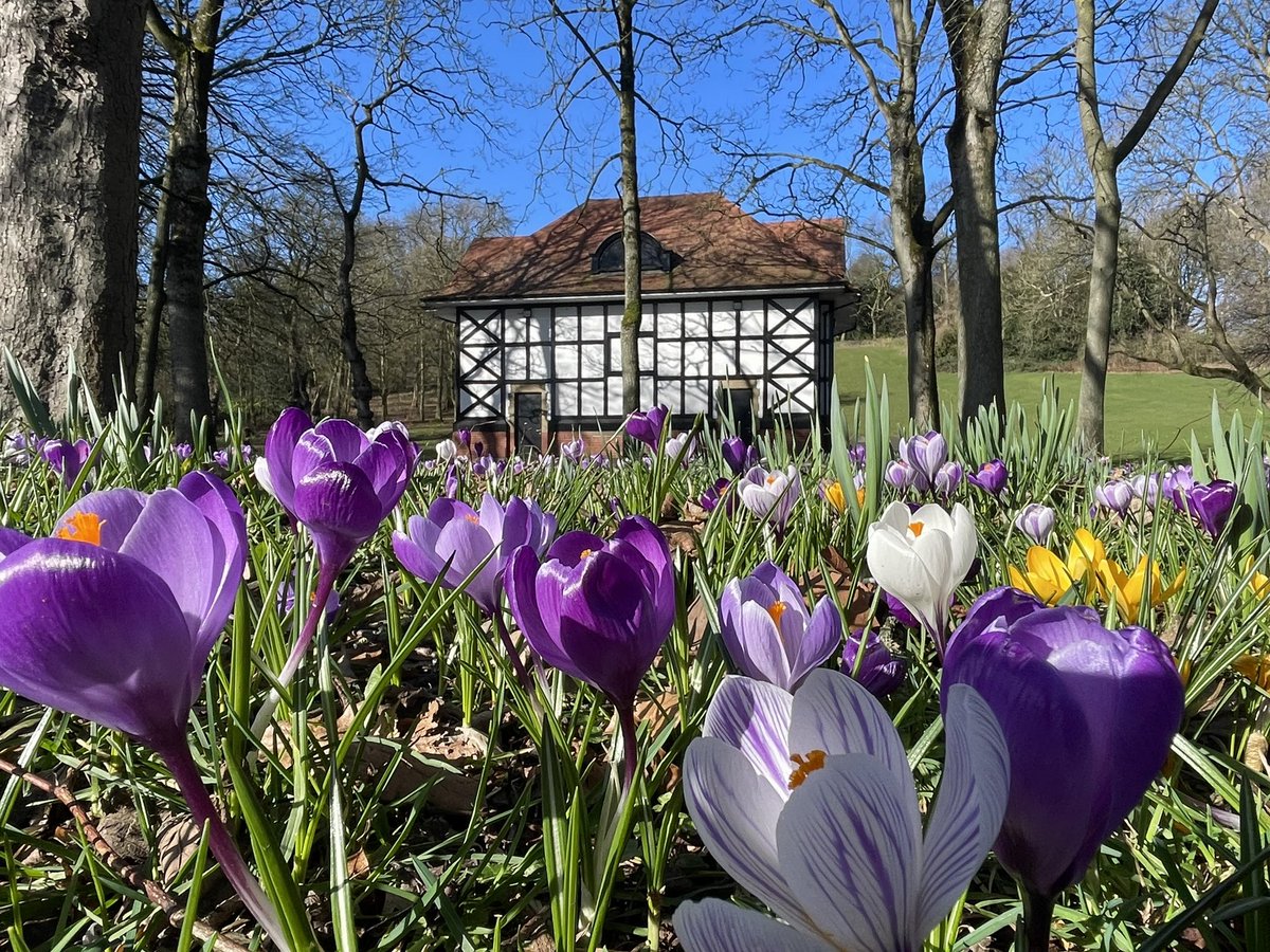 Gorgeous display of Crocuses at Thornes park Wakefield <a href="/WkfdOfficial/">Wakefield Official News</a> <a href="/WakeExpress/">Wakefield Express</a> <a href="/Expwakefield/">Experience Wakefield</a> <a href="/PandCExpress/">Pont & Cas Express</a> <a href="/journoLeanneC/">Leanne Clarke</a> <a href="/BBCLookNorth/">BBC Yorkshire</a> <a href="/Hudsonweather/">Paul Hudson</a> <a href="/EmmanuelleLhoni/">Emmanuelle Lhoni</a> <a href="/KeeleyDonovan/">Keeley Donovan</a>