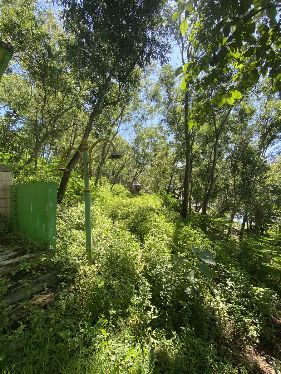 iki mbien do ngopoto
wongwongane kok dadi koyo ngene