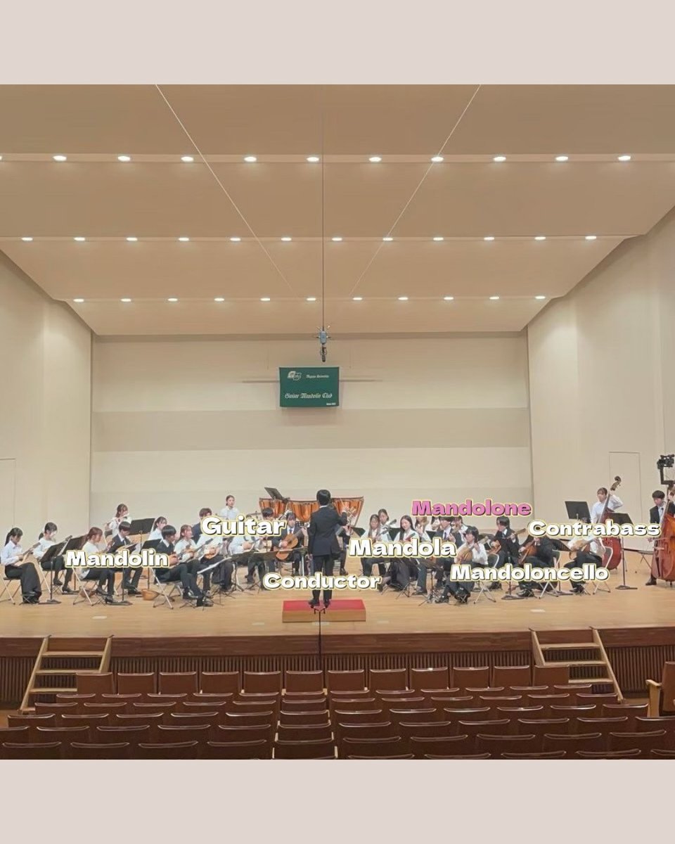 🌷楽器紹介🌷マンドローネ

#春から名大