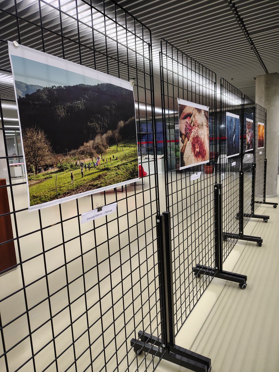 Últimos días para ver a fotografías de Brais Lorenzo arredor do entroido. Non as perdades!