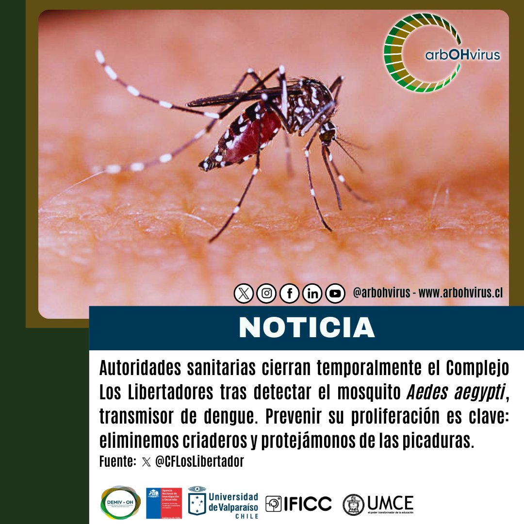 🚨Cierre temporal del Complejo Los Libertadores tras la detección del mosquito #AedesAegypti, vector del #dengue. Desde #arbOHvirus recordamos la importancia del enfoque #OneHealth en la vigilancia de #arbovirus para proteger la salud en fronteras.