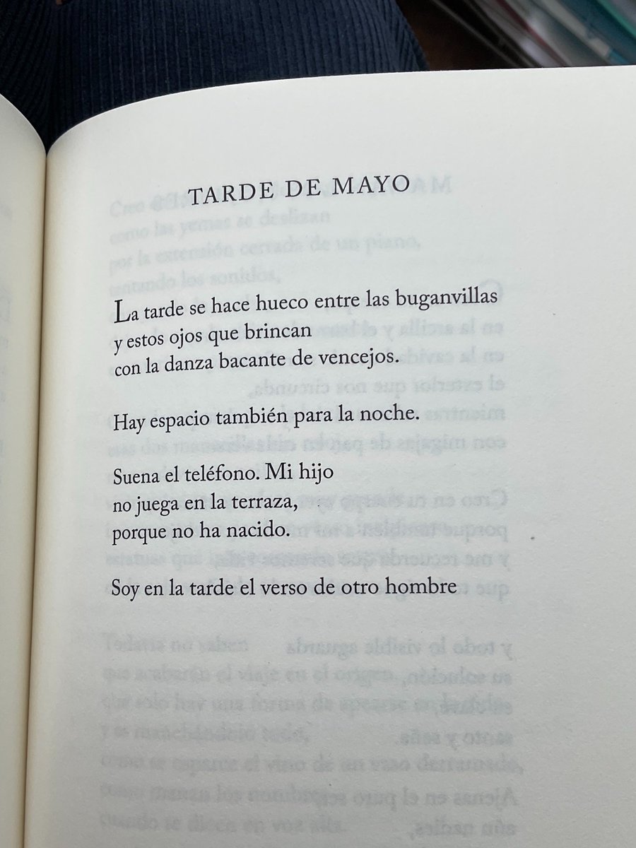 Non Finito, Alberto Chessa (<a href="/lapipadekifed/">La Pipa de Kif</a>)