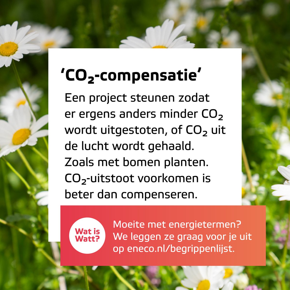 Wat is CO₂-compensatie en hoe werkt het? Wij leggen het je uit! 🌍