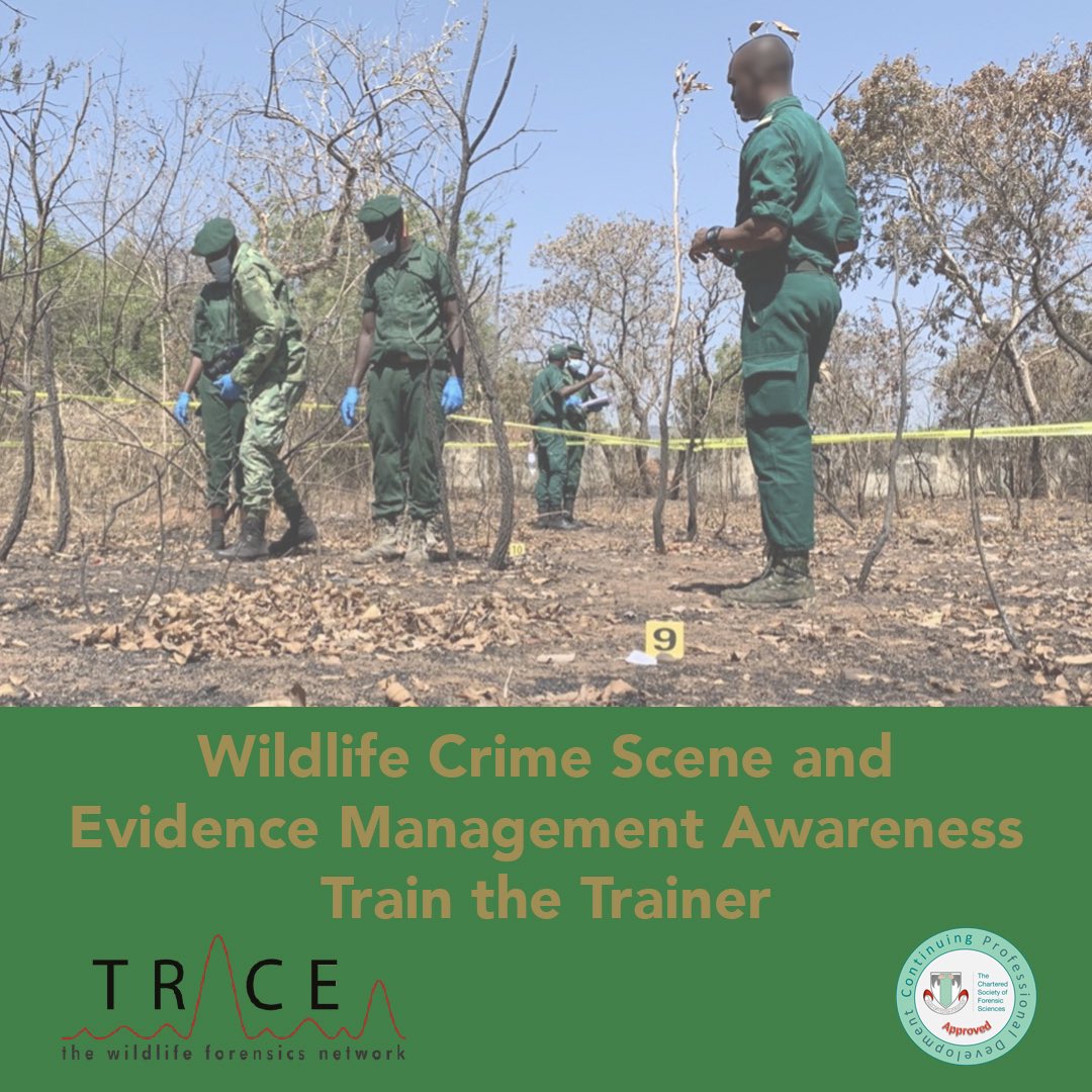 Dr Grant Thomson tweet media