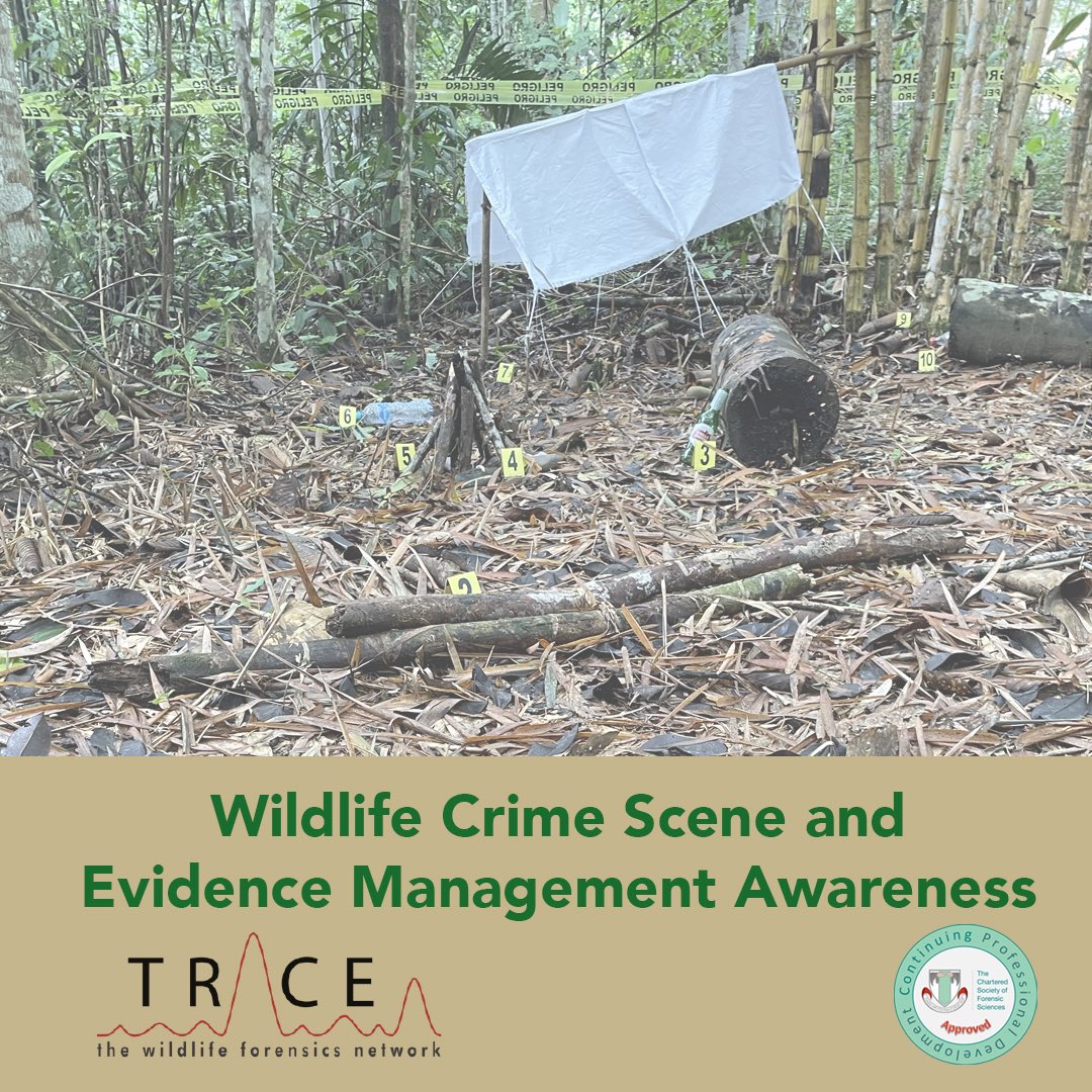 Dr Grant Thomson tweet media