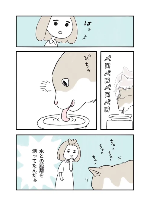 2/2 