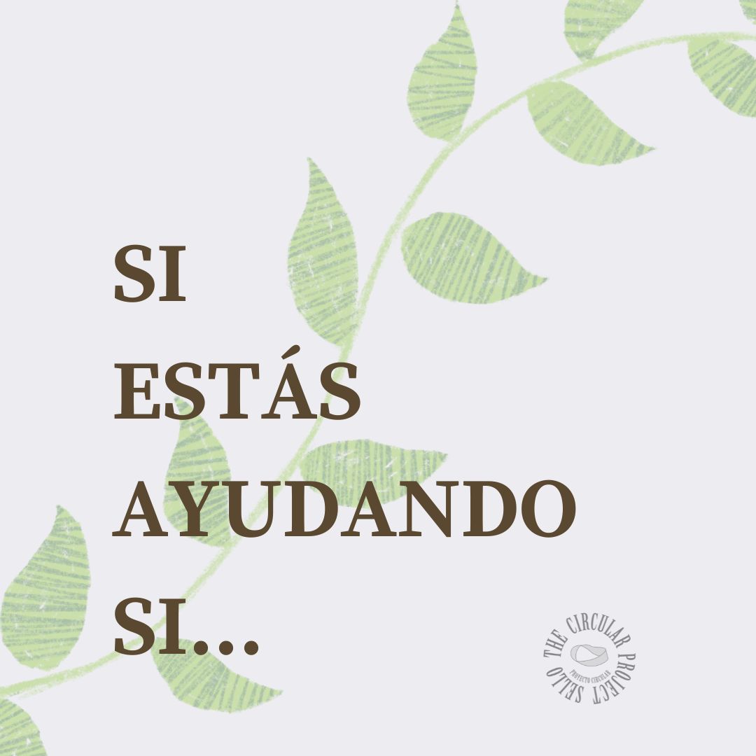 The Circular Project tweet media