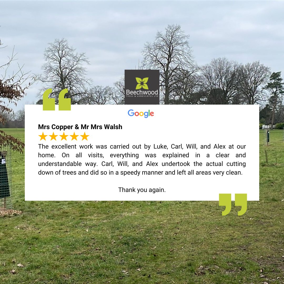 BossBeechwood's tweet image. 🌟 Customer Feedback Spotlight! 🌟

A huge shoutout to Luke, Carl, Will, and Alex for their outstanding work! 👏 From clear communication to efficient tree removal and a spotless cleanup, the team delivered top-quality service.

#CustomerPraise #GreatWork #TreeCareExperts