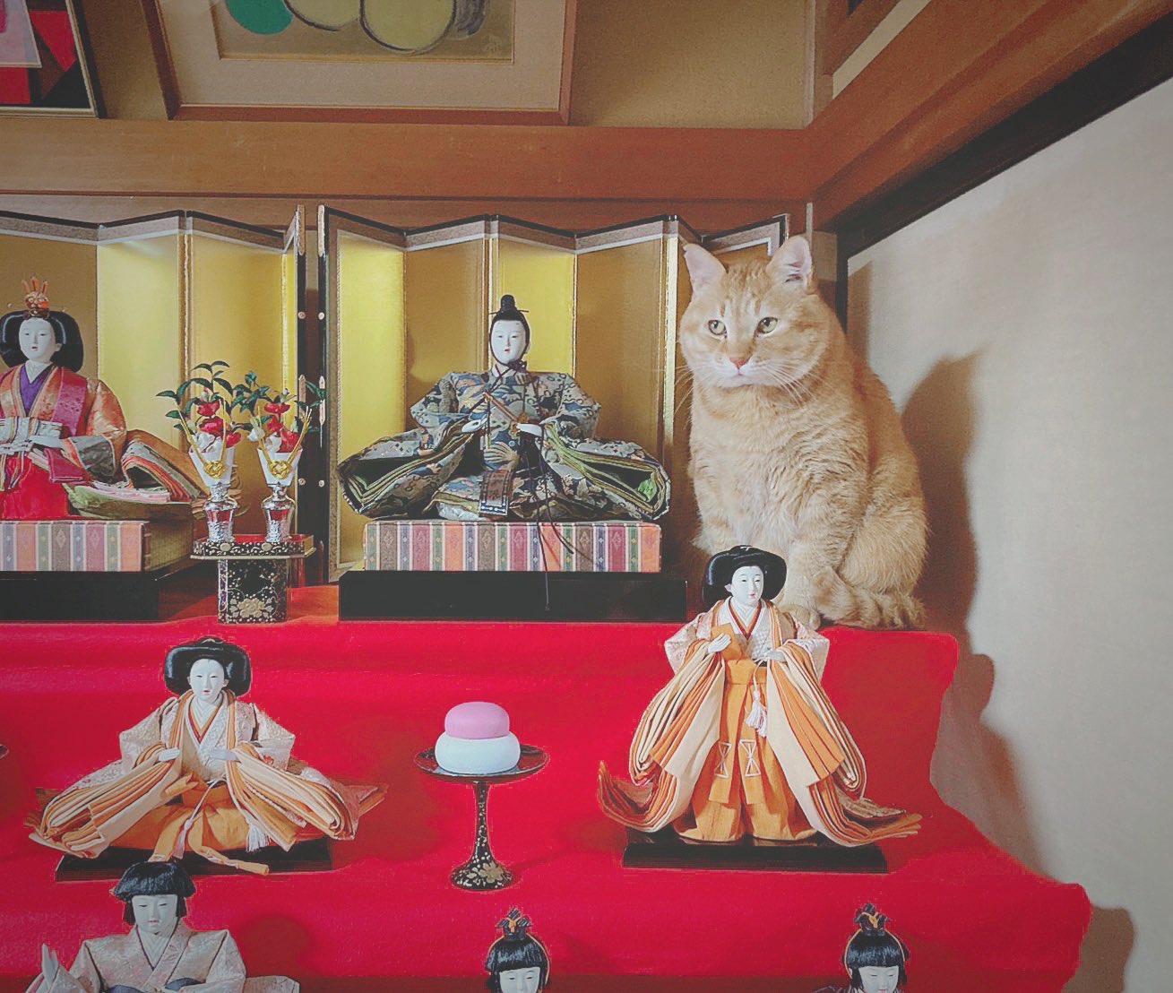 mume (@8mumemume8) / X