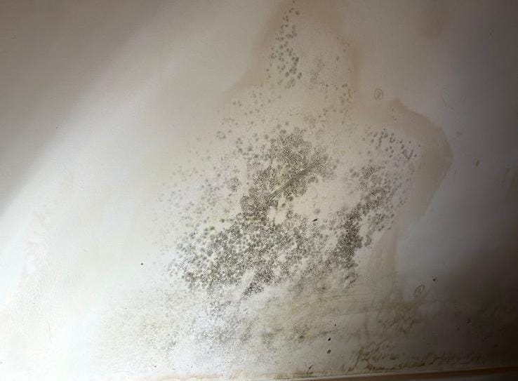 The Londoner tweet media