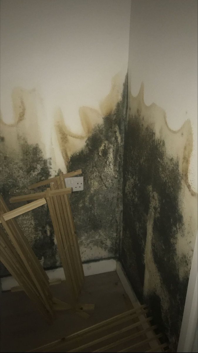 The Londoner tweet media