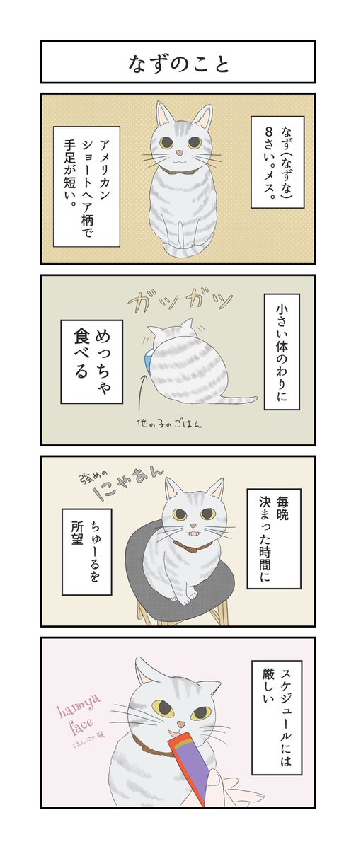 chihana_mv's tweet photo. 【漫画】なずこまfuimi「なずのこと」
#4コマ #猫 #漫画 #オリジナル #cats  #comic https://t.co/iH0ynSd6q8