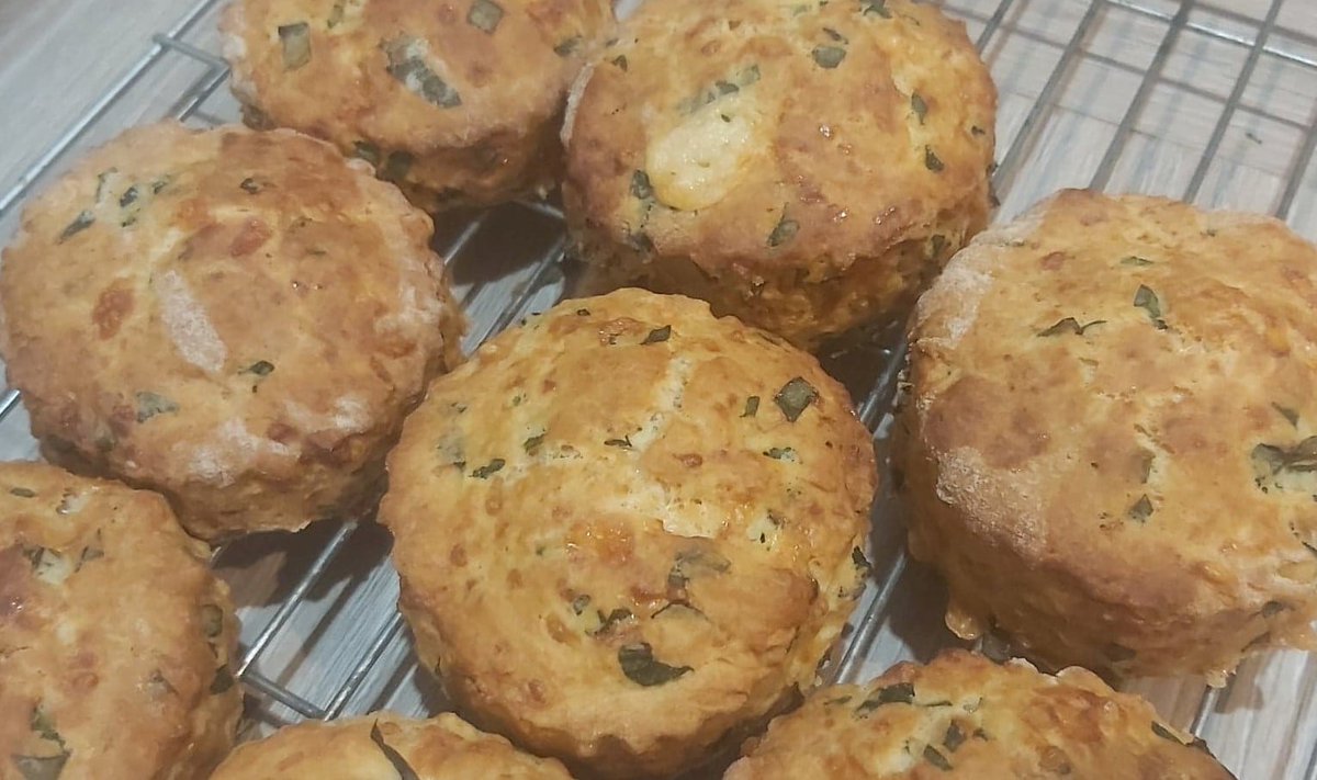 Polarisbush's tweet image. polarisbushcraft.co.uk/post/wild-garl…

#foodforfree #foragedfood #wildgarlic #hertford #hertfordshire