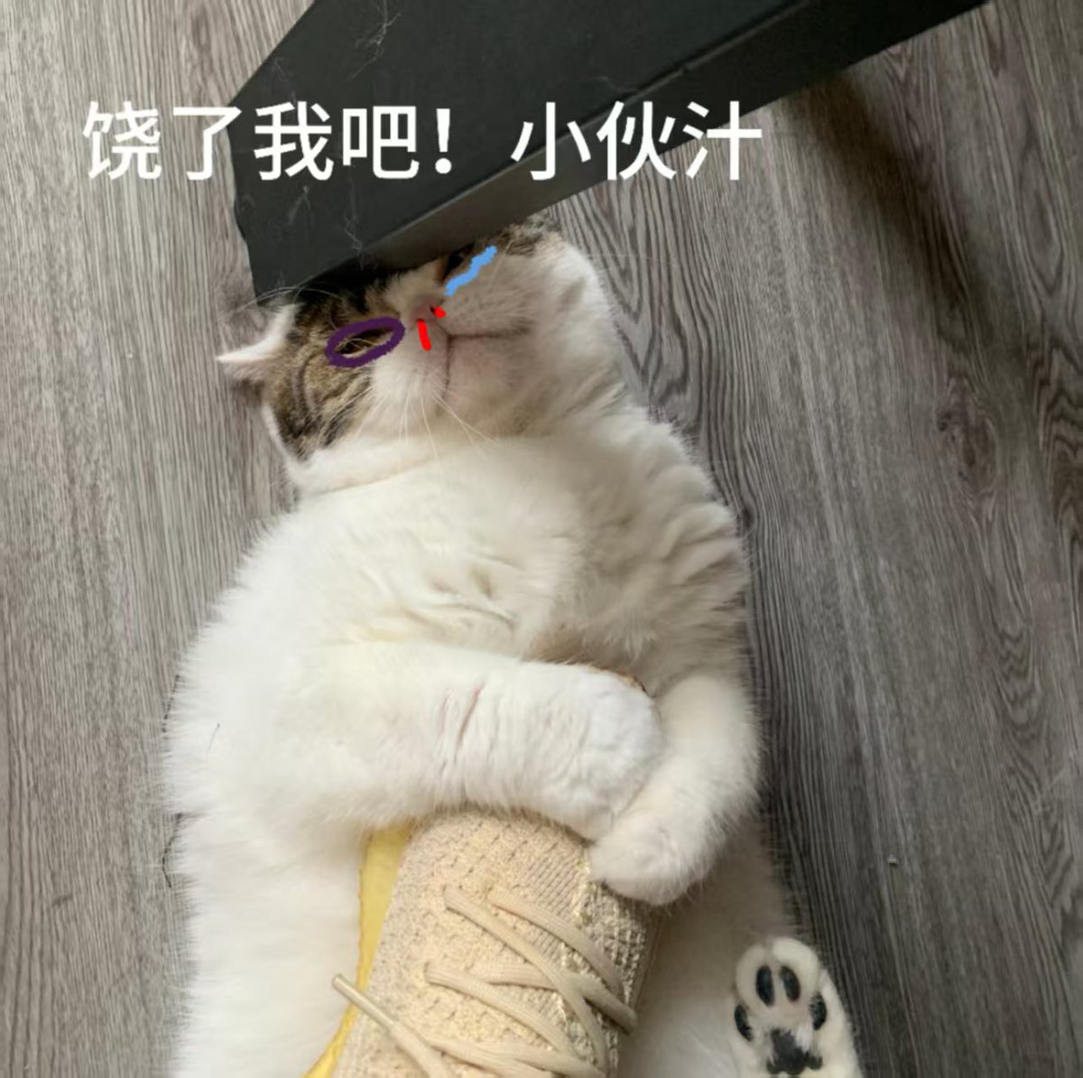 摆摆魔 tweet media