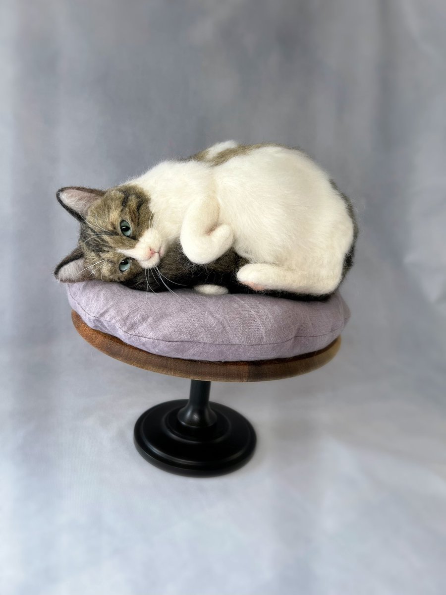 roroo2525's tweet image. キジシロさんです。
おシッポの長い子で
抱えて丸くなってるポーズを作りました。

#羊毛フェルト
#羊毛フェルトねこ 
#feltingwool 
#feltingneedle 
#woolfelt 
#キジシロ