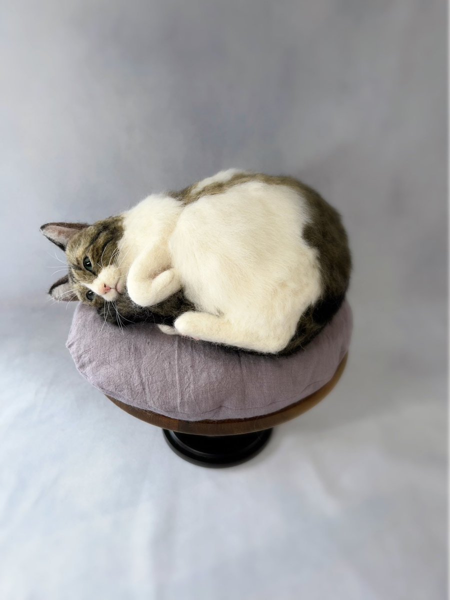 roroo2525's tweet image. キジシロさんです。
おシッポの長い子で
抱えて丸くなってるポーズを作りました。

#羊毛フェルト
#羊毛フェルトねこ 
#feltingwool 
#feltingneedle 
#woolfelt 
#キジシロ