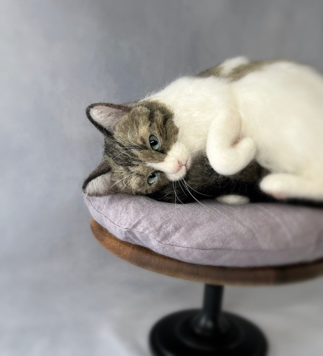 roroo2525's tweet image. キジシロさんです。
おシッポの長い子で
抱えて丸くなってるポーズを作りました。

#羊毛フェルト
#羊毛フェルトねこ 
#feltingwool 
#feltingneedle 
#woolfelt 
#キジシロ