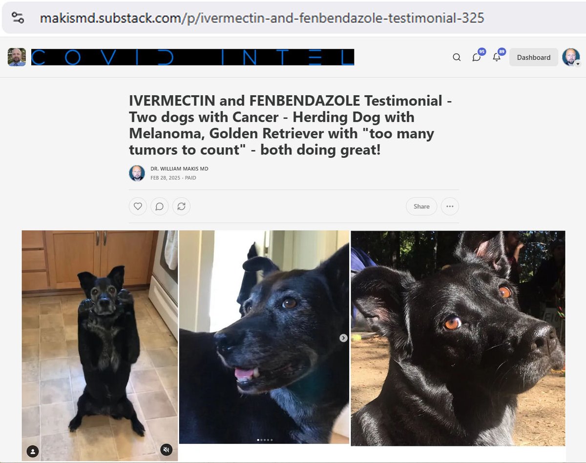 William Makis tweet media