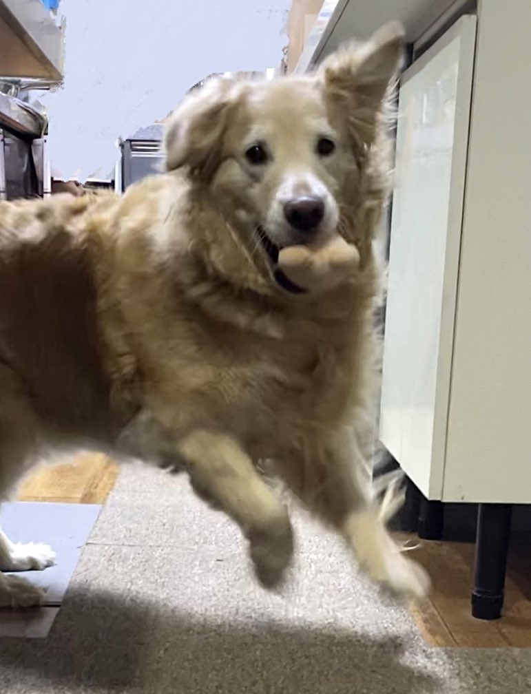 ruby_sm_'s tweet image. 💃