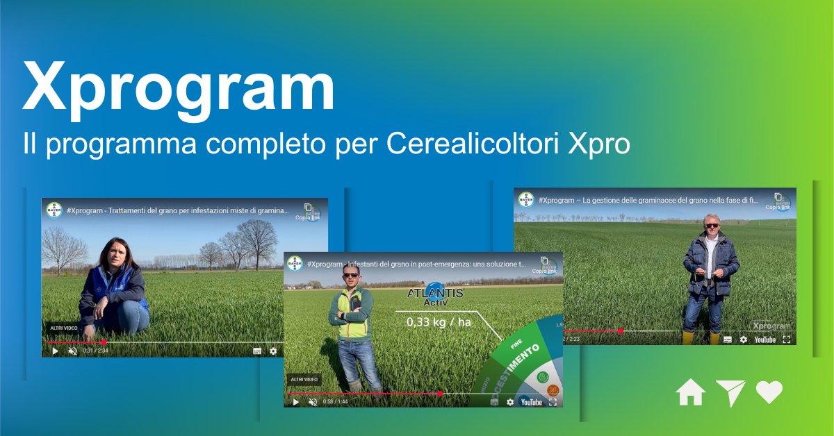 AgriculturaIT's tweet image. #Xprogram è il nuovo programma di @Bayer per chi coltiva cereali. Oltre a prodotti e soluzioni, include supporto agronomico e incontri in campo. Tre contenuti formativi sul diserbo del grano sono già online, scoprili ora!
Link: bit.ly/3QCJhT9