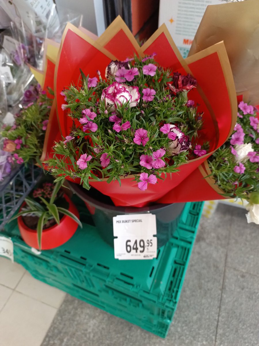 Ulen içinde üç tane karanfil var fiyata bak.Hesap yaptım 22 kg ıspanak alıyorum Fakirlik artık ruhuma işlemiş .