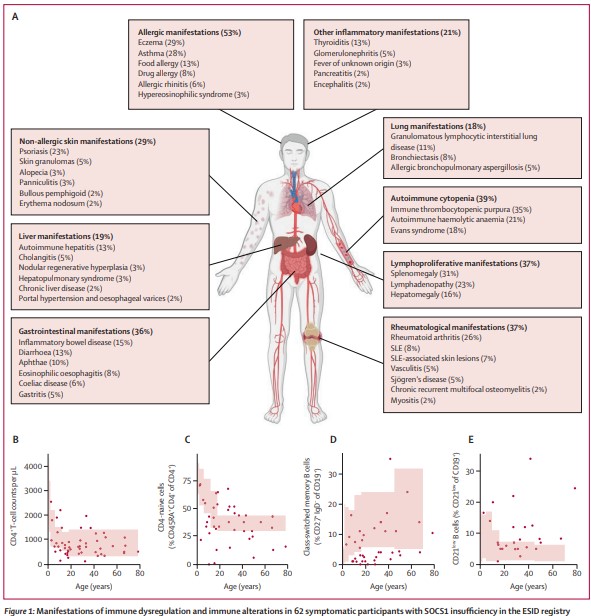 NEW RESEARCH—Clinical manifestations, disease penetrance, and treatment in individuals with #SOCS1 (suppressor of cytokine signalling 1) insufficiency: a registry-based and population-based study bit.ly/3QKo0qx #RareDiseaseDay