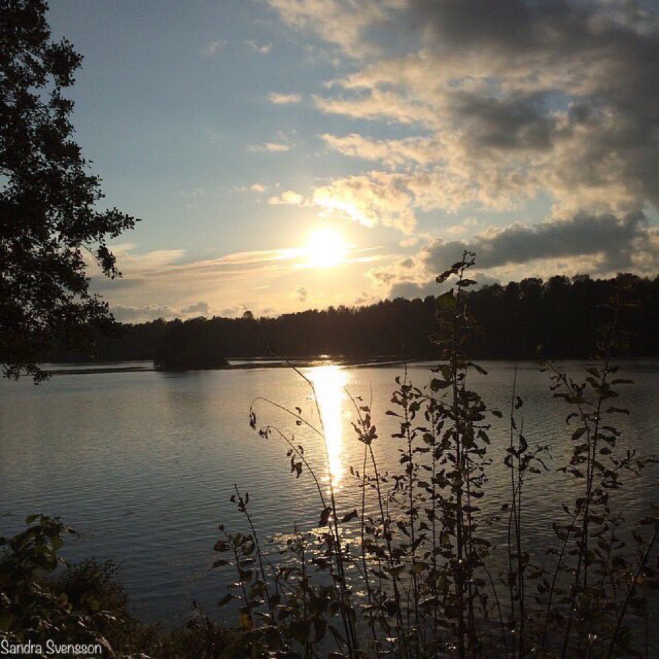 SandraSve88's tweet photo. @RCederfjard #Sweden https://t.co/astp7QagRM