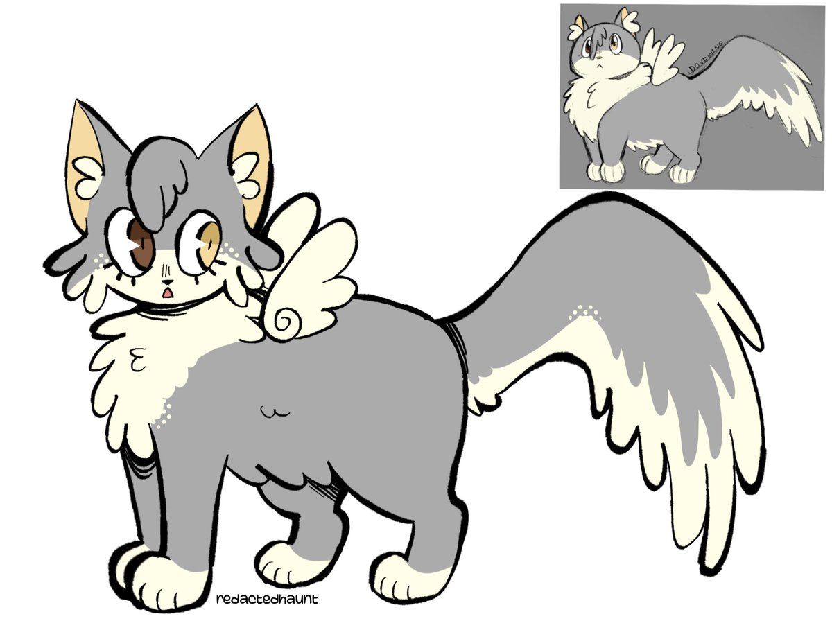 had to draw this dovewing design she's so cute #warriorcats #dovewing