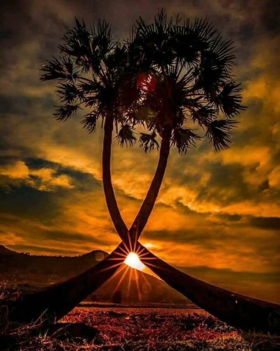 Good night friend
