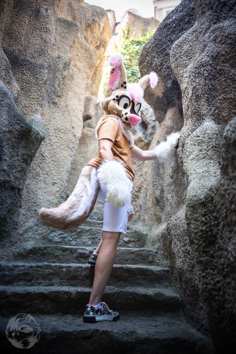 Akkie ₍ₑₘᵣₑₑ₎ (@akkiefloofie) on Twitter photo Oh hello, I’m doing some terrain exploring, wanna join? Happy #FursuitFriday everyone ✨❤️
📸: <a href="/Randall_Foxx/">Randall Foxcoon</a> Oh hello, I’m doing some terrain exploring, wanna join? Happy #FursuitFriday everyone ✨❤️
📸: <a href="/Randall_Foxx/">Randall Foxcoon</a>