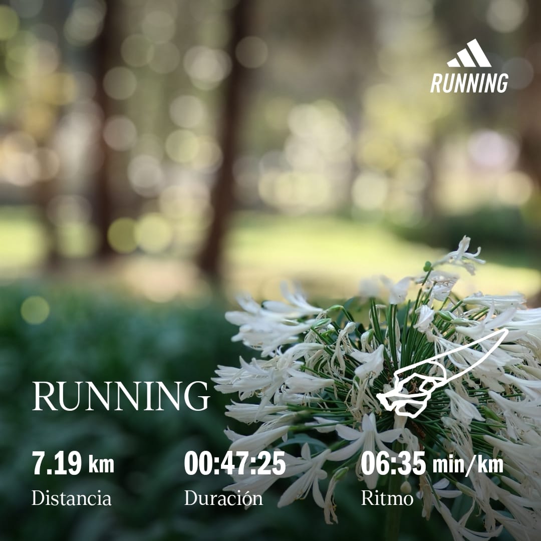 Ps. Toño Runner 🏃🏽🇲🇽 (@antonioadorador) on Twitter photo Feliz, agregándole más distancia al entrenamiento a paso muy ligero 😃
Bendecido día amig@s <a href="/KMSxELA/">KMSxELA</a> <a href="/CanalRunning/">Running Shorts</a> <a href="/CorroAMiPaso/">Corro A Mi Paso 🇲🇽</a> <a href="/MeEncantaCorrer/">Me Encanta Correr</a> <a href="/LosCobardesTea1/">#LosCobardesTeam</a> <a href="/ReyLoborebelion/">La rebelión del rey Lobo</a> <a href="/logrartusmetas/">LograrTusMetas</a> <a href="/EntreRunners/">Entre Runners</a> <a href="/Aca_Runners/">ProyectoAcáEntreRunners</a> Feliz, agregándole más distancia al entrenamiento a paso muy ligero 😃
Bendecido día amig@s <a href="/KMSxELA/">KMSxELA</a> <a href="/CanalRunning/">Running Shorts</a> <a href="/CorroAMiPaso/">Corro A Mi Paso 🇲🇽</a> <a href="/MeEncantaCorrer/">Me Encanta Correr</a> <a href="/LosCobardesTea1/">#LosCobardesTeam</a> <a href="/ReyLoborebelion/">La rebelión del rey Lobo</a> <a href="/logrartusmetas/">LograrTusMetas</a> <a href="/EntreRunners/">Entre Runners</a> <a href="/Aca_Runners/">ProyectoAcáEntreRunners</a>