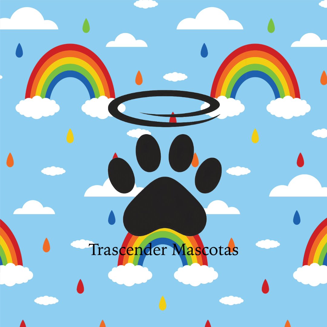 trascender2024's tweet image. Conserva su recuerdo cerca de ti, para siempre. #Urnas #Mascotas #Trascender #Veterinarios #Diseños #Envíos