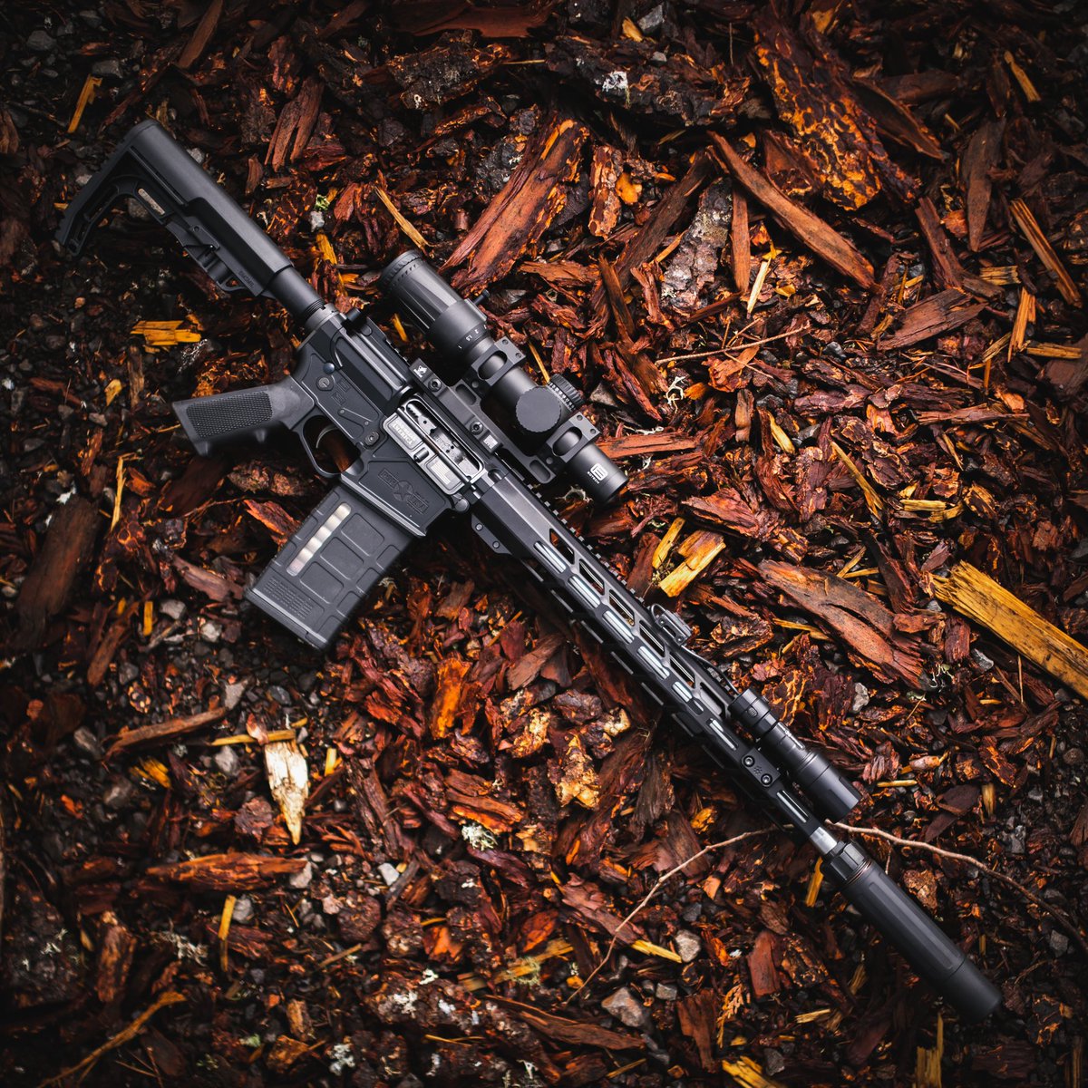 The best deal on a small frame 308 out there, the LMR Base.
