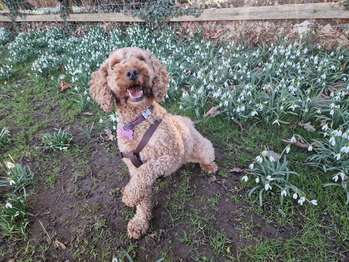 Gateways School tweet media