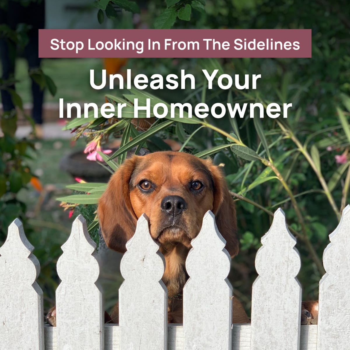 Vlahmadi's tweet photo. Feeling like you’re on the outside looking in when it comes to buying a home? Let’s work together to open that door and find the right home loan fit for you. Message me. https://t.co/cMm6yIalXr