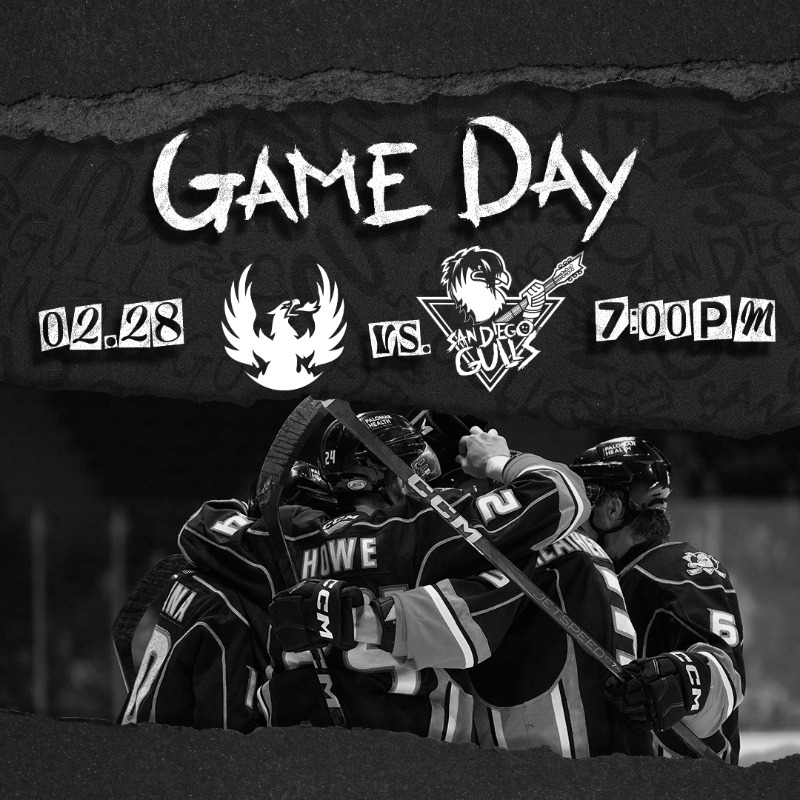 SDGullsAHL's tweet photo. We're ok. Trust us.

#LetsGoGulls | #CVvsSD