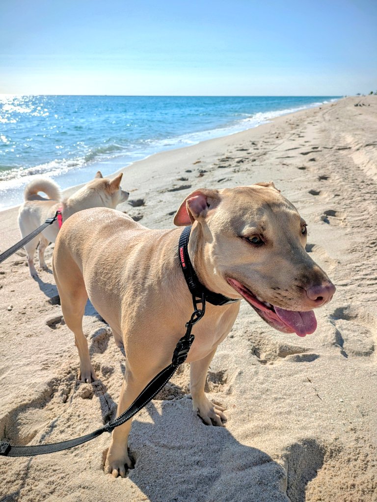 XANDER GEOGRAPHIC 🏕️ tweet media