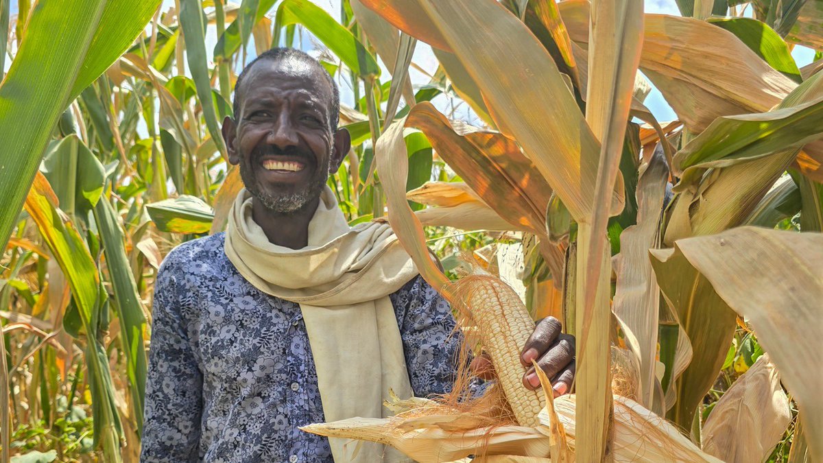 Post conflict communities in 🇪🇹are not looking for handouts but support to get back on their feet. Today we reviewed progress of our peace support work in Afar, Amhara &amp; Tigray regions &amp; discussed strategic areas for the next phase. 🙏to  🇩🇪  🇯🇵   🇳🇱 #CorePartners #FundingWindows
