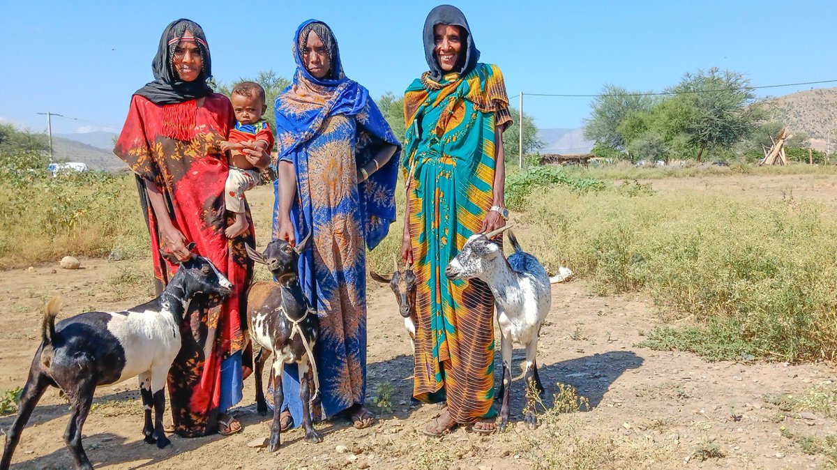 GbaydeeDoe's tweet photo. Post conflict communities in 🇪🇹are not looking for handouts but support to get back on their feet. Today we reviewed progress of our peace support work in Afar, Amhara & Tigray regions & discussed strategic areas for the next phase. 🙏to 🇩🇪 🇯🇵 🇳🇱 #CorePartners #FundingWindows https://t.co/M0gPAQakkH