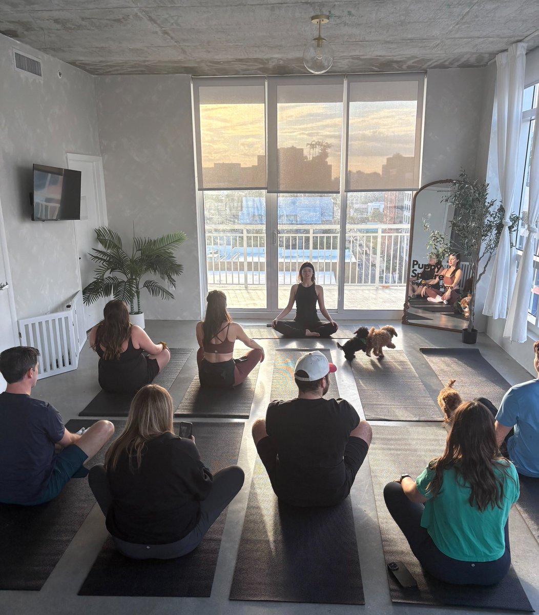 Here's what you missed if you didn't come to the puppies + yoga event last night.

Yeah. You missed out, big time.🐶🧘 🌅

#EEEMIAMI #EEE2025