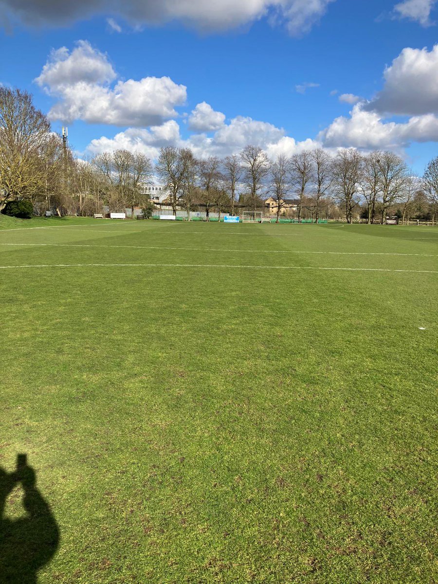 David Sealey tweet media