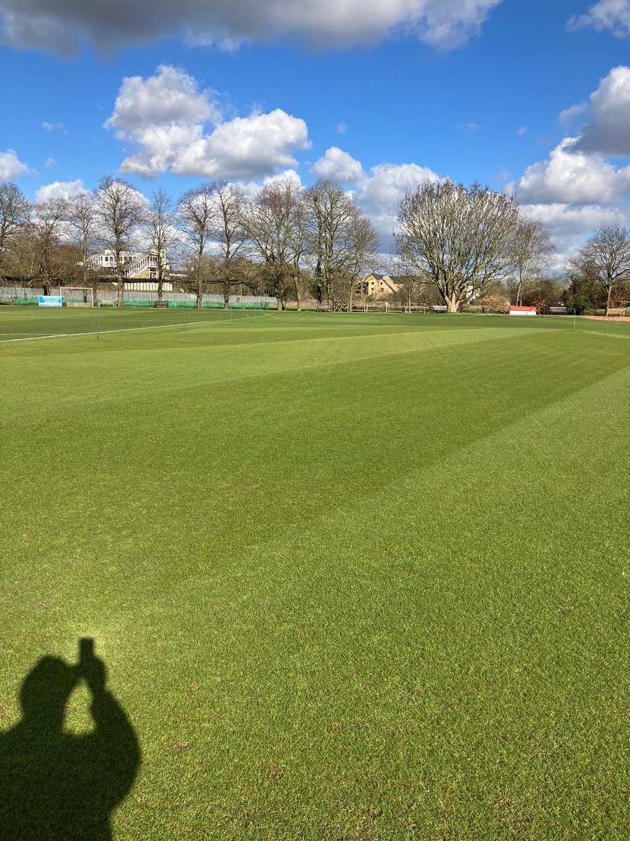 David Sealey tweet media