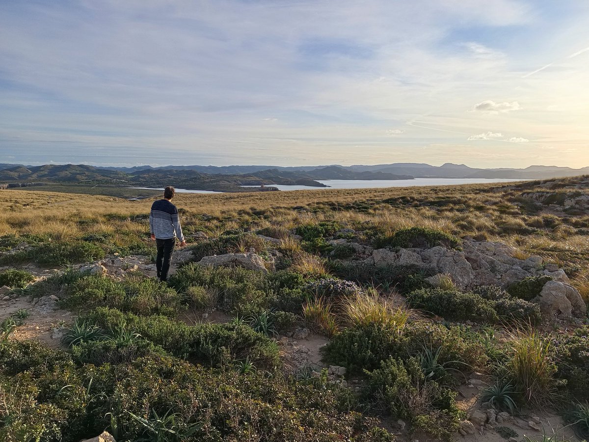 M'encanta Menorca. Si hi ha una cosa que em fascina d'aquesta illa són els seus paisatges solitaris, tan rurals, gairebé sense cases. Tan diferents als de Mallorca, on els xalets de guiris d'un milió d'euros brollen com a xampinyons.
Et fa pensar: "quina oportunitat hem perdut!"